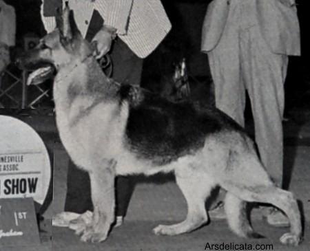 CH (US) Imperial's Anchor of Kovaya