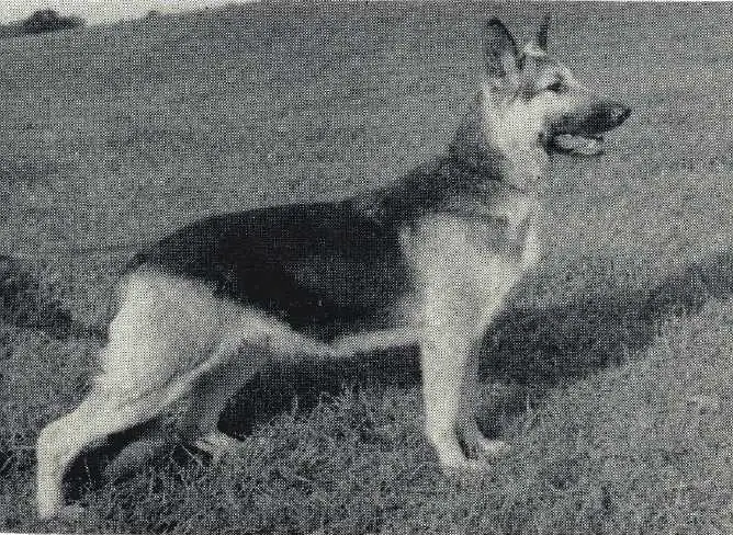 Eveley's Vanity of Brinton