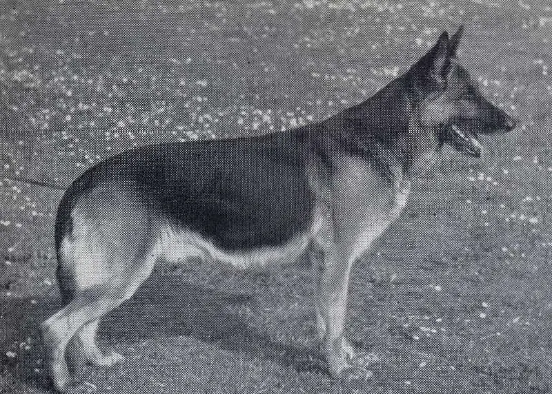 Vikkas Atlas av Hvitsand