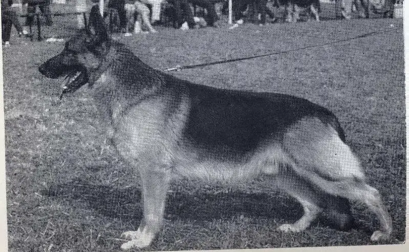 CH (UK) Atstan Impresario