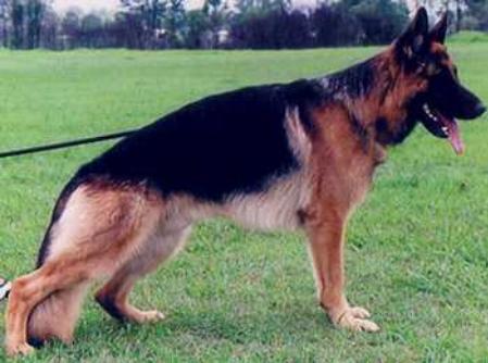 A.CH. EX.4 Aimsway Abacus