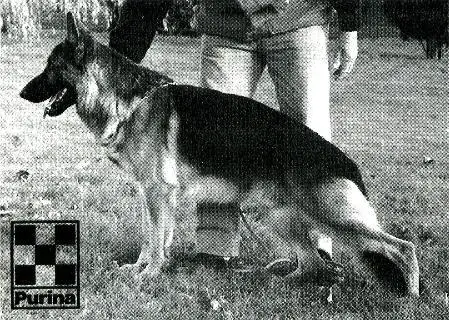 gunda de franquieres