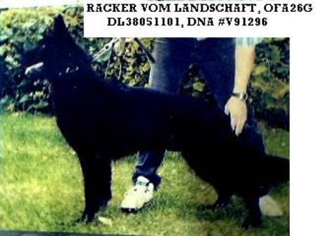 Racker Vom Landschaft