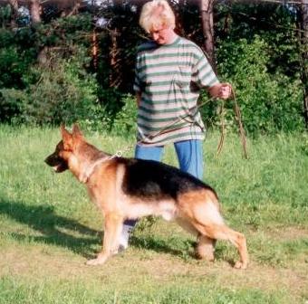 Aranyvölgyi-Örseg Atlas