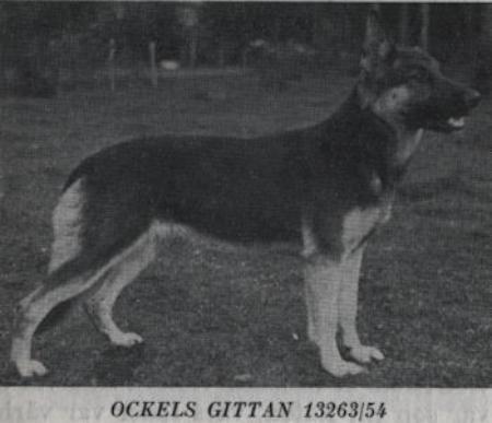 Ockels Gittan
