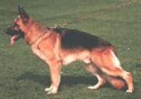 V Bexter v Haus Lacherom (1987)