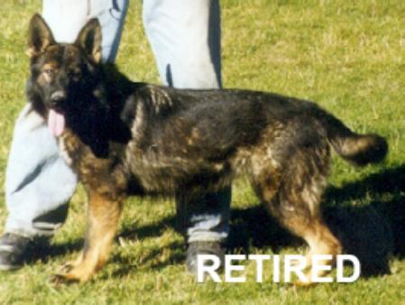 Jasmine von der Haus Gill