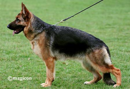 V Yackina aus Agrigento