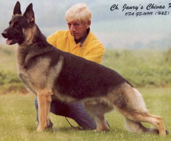 CH (US) Janry's Chivas Regal