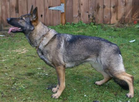 Tabor Von Der Adelegg