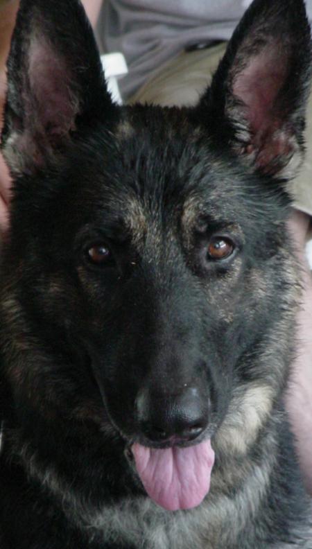 Veritas Hanna Leblanc