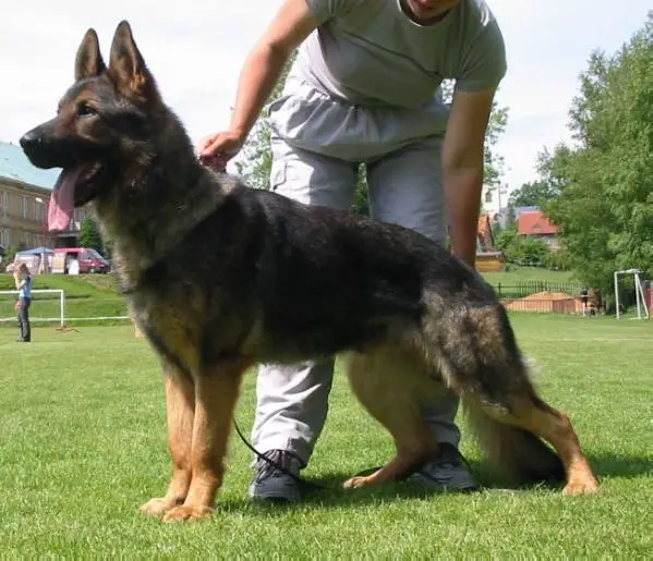 V Dax Ze Zdenkovo dvora