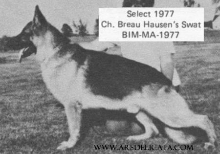 CH Breauhausen's Swat