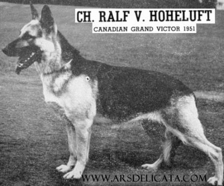 1951 GV (CAN) CH A/C Ralf von Hoheluft (1947)