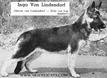 Inga von Lindendorf