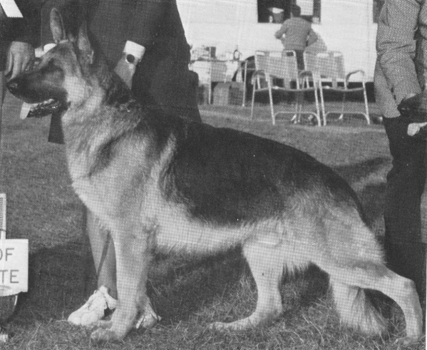 CH (US) Cobert's Cardinal