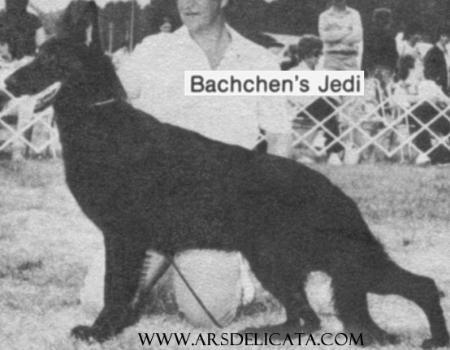 Bachchen's Jedi
