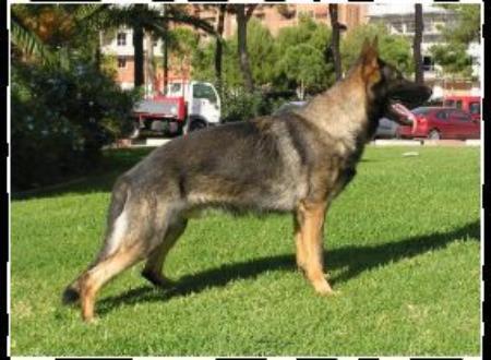 Index vom Cap Arkona