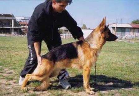 V Quella od Tiganjice