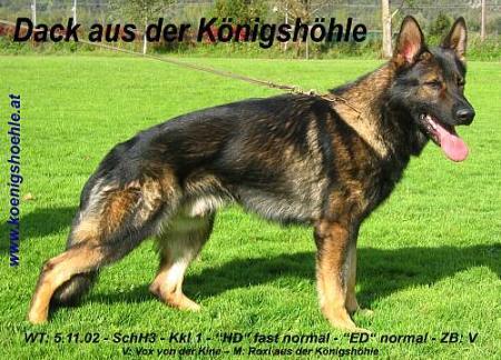 V Dack aus der Königshöhle