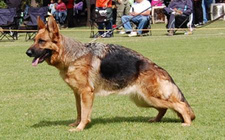 VA2 July Von Haus Vazquez