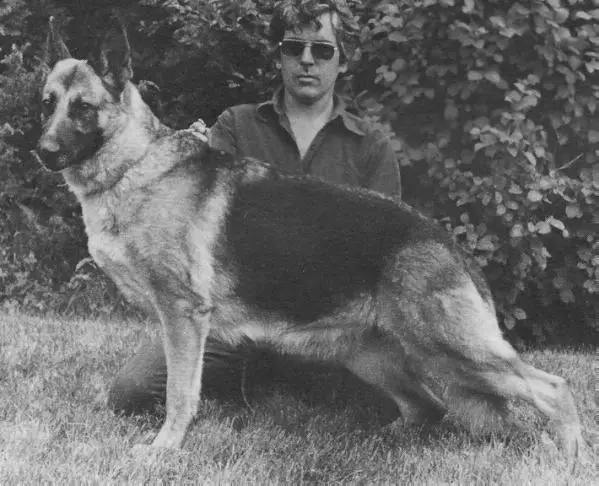 ROM (US) Mazza Manor's Ruffy of San-Jo