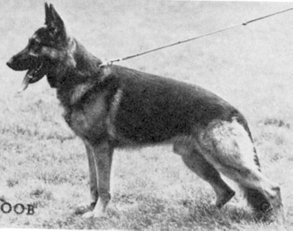 Prinz vom Bergmannshof