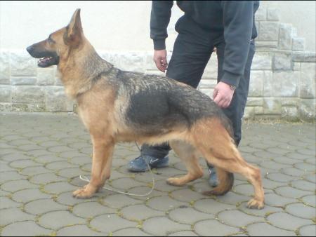 Gemma Vom Haus Selia