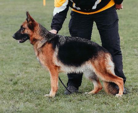 V Kera vom Vollkommen