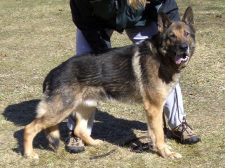 Valdo Van Roy's Hoeve