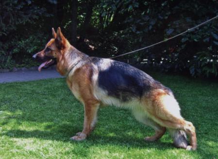 V Gilla von der Plassenburg