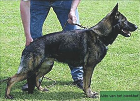 Aldo van het Bleekhof