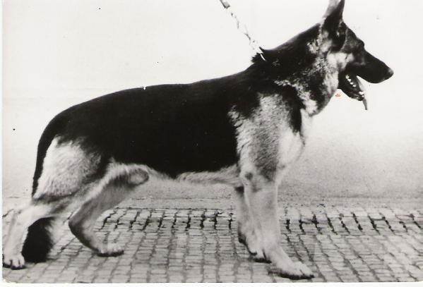 Norbo von der Murrenhütte