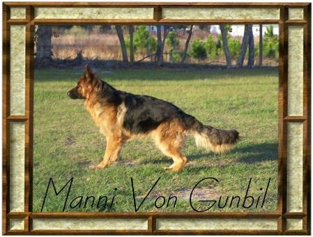 Manni Von Gunbil
