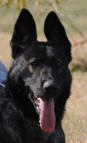 Bonny von der Hagenmühle