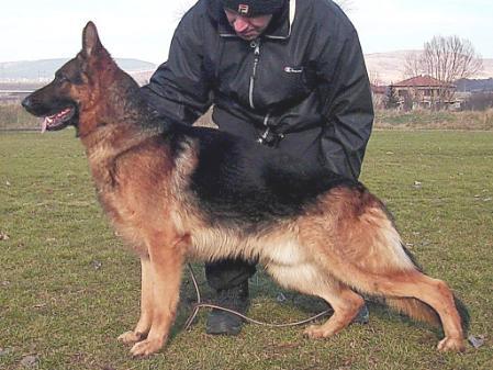 Silver vom Allemannengrab