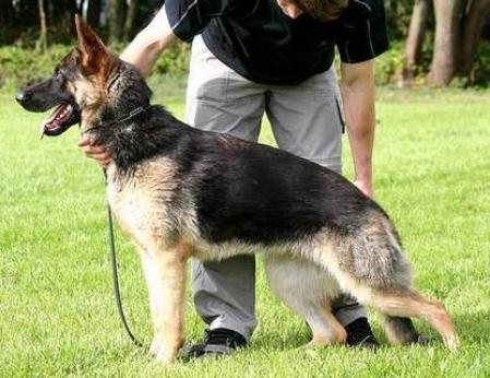 SG Fidji du Triangle Magique