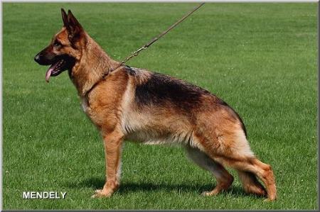 V Oscha vom Spessartblick