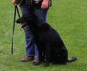 V Dina von den Wannaer Höhen