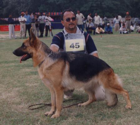 SG1 (INDIA) Hella Of Dogmatix