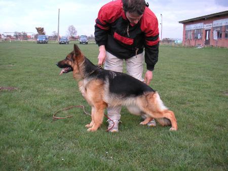 Venus vom Haus Thalie