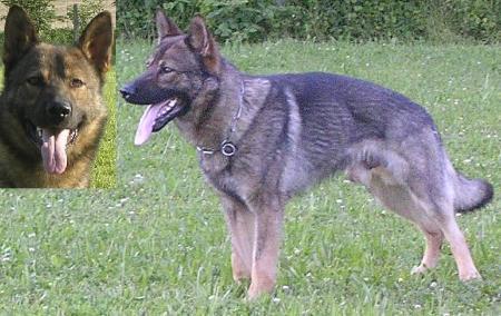 Ulko des Guerriers du Crépuscule