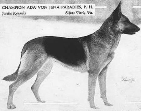 CH Ada von Jena-Paradies