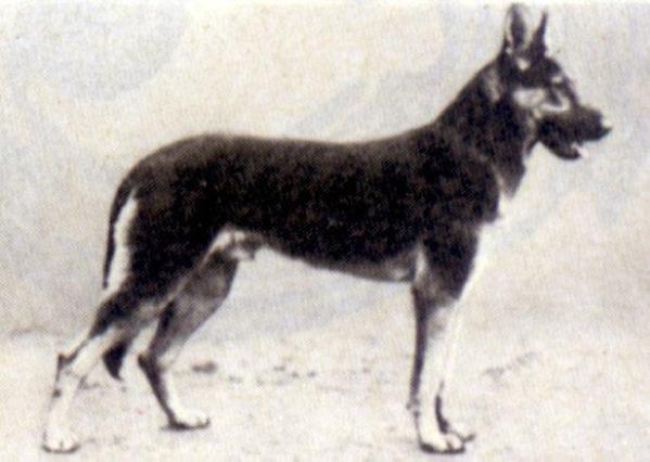 Klodwig von der Recke