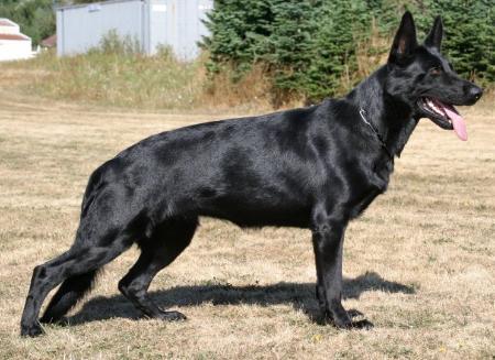 Franzi von der Gertelbach