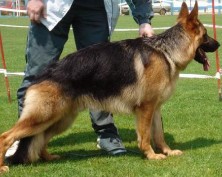 2XSG1,RJCH Gerry von Winsberg