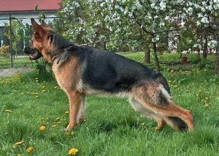 Tina z Domu Nauczyciela
