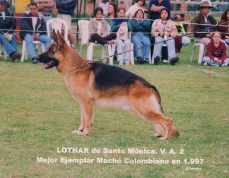 VA2 COLOMBIA Lothar de Santa Mónica