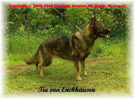 Tia von Enckhausen