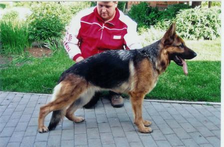 V Roma vom Bergmannsland